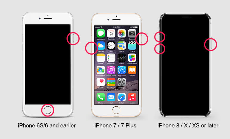 My iPhone Screen Is Not working, How do I fix it?