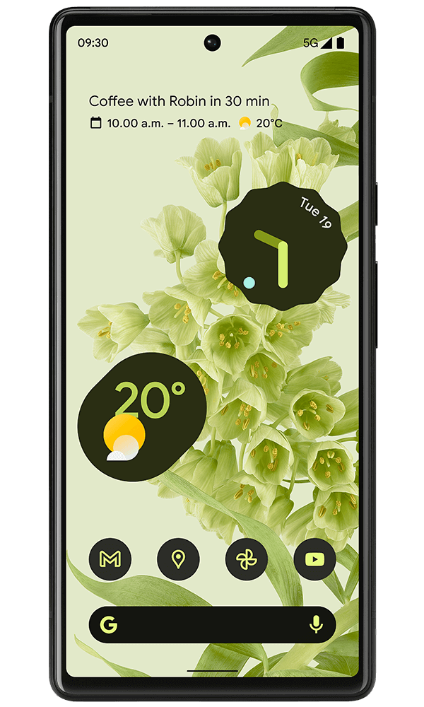 Pixel 6