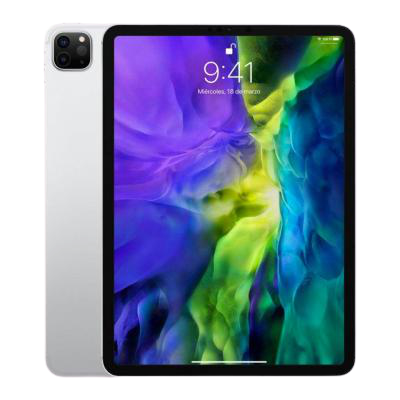 iPad Pro 11 (2nd Gen)